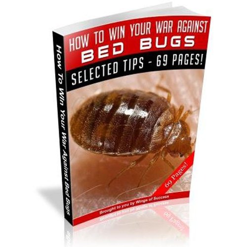 How To Win Your War Against Bed Bugs